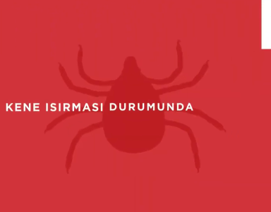 Kene Isırması, Solunum Yolu Zehirlenmesi, Donma Durumunda Yapılması Gereken İlk Yardım Uygulamaları