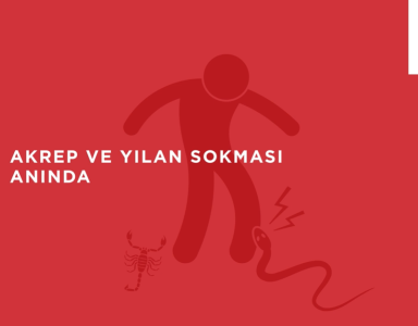 Akrep Ve Yılan Sokması, Zehirlenme Anında, Yanık Anında Yapılması Gereken İlk Yardım Uygulamaları...