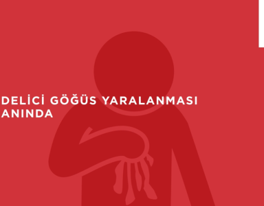 Delici Göğüs Yaralanması Durumunda, Kırık Anında, Kedi ve Köpek Isırması Anında Yapılması Gerekenler