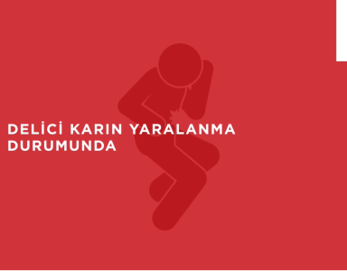 Delici Karın Yaralanması, Çıkık, Arı Sokması Durumunda Yapılması Gereken İlk Yardım Uygulamaları...