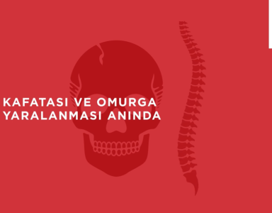 Kafatası, Omurga Yaralanması, Burkulma, Deniz Canlıların Isırması Ve Sıcak Çarpmasında Yapılacaklar
